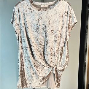 Hummingbird Silver-Taupe Crushed Velvet Twist Front Tee